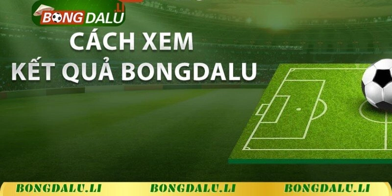 Cách xem KQBĐ trên Bongdalu.li