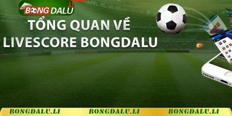 Tổng quan về Livescore trực tuyến tại Bongdalu