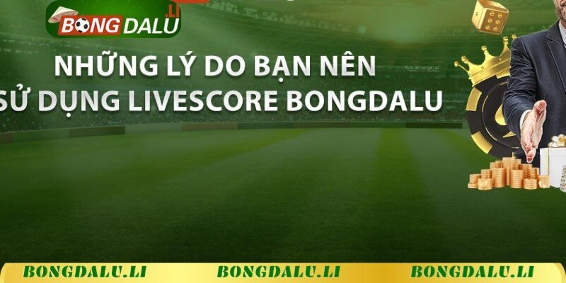 Vài lý do bạn nên sử dụng livescore tại sân chơi Bongdalu